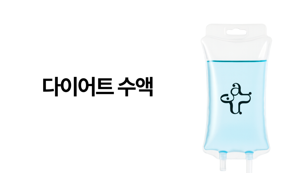 다이어트 수액